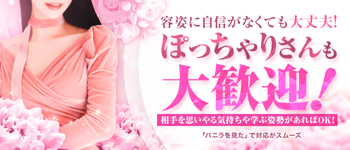 SOVのぽっちゃり求人画像