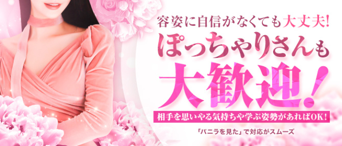 SOVのぽっちゃり求人画像