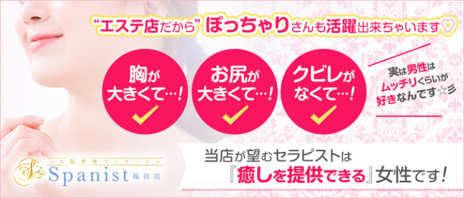 スパニスト梅田のぽっちゃり求人画像