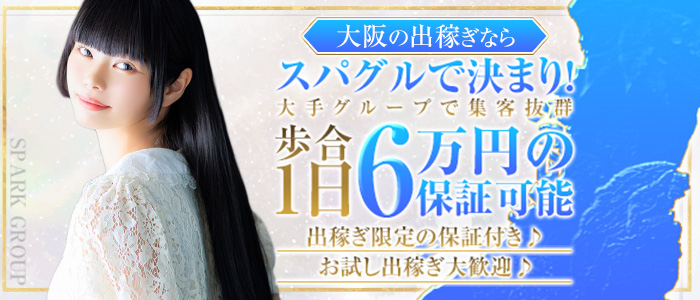 スパークグループの出稼ぎ求人画像