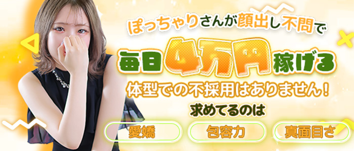 スパークグループのぽっちゃり求人画像