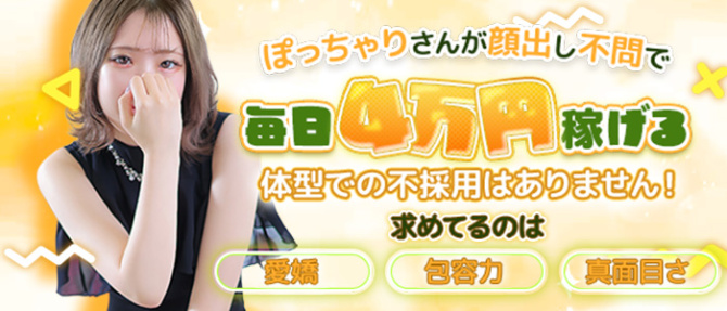 スパークグループのぽっちゃり求人画像