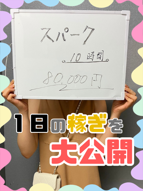 スパークグループの給与画像1