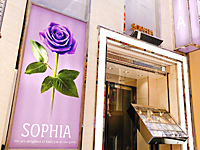 SOPHIAで働くメリット8