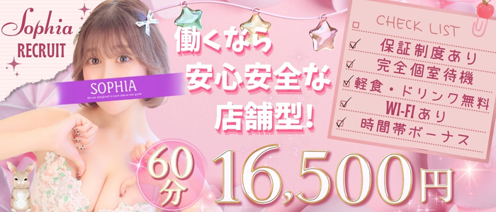 SOPHIAの求人画像