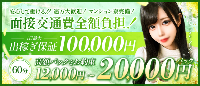 STELLA NEXT－ステラネクスト－