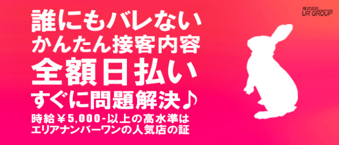 ストバニのぽっちゃり求人画像