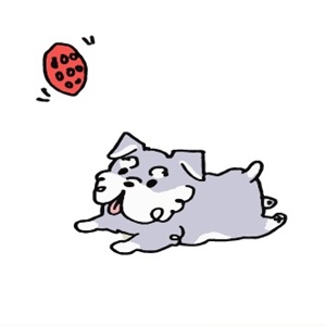 即日体入で急な支払いも安心のアイキャッチ画像