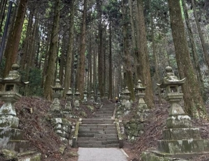 今年は去年よりも成長する1年に！のアイキャッチ画像