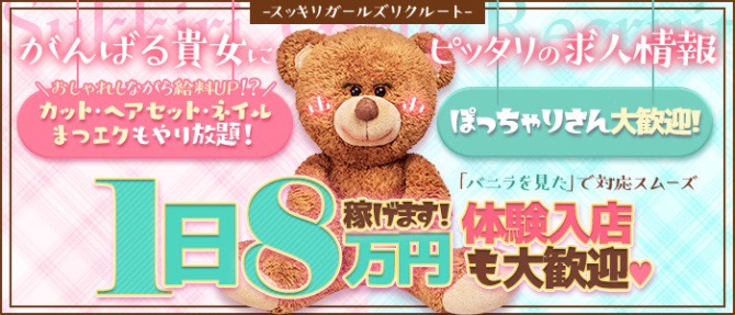 スッキリ!!日本橋のぽっちゃり求人画像