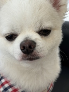 緊張せずにお仕事につけるコツや考え方ってありますか？のアイキャッチ画像