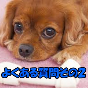 よくあるご質問その2☆のアイキャッチ画像