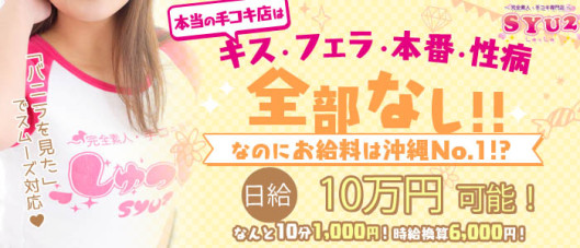 しゅっしゅ(syu2)