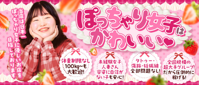多治見春日井ちゃんこのぽっちゃり求人画像