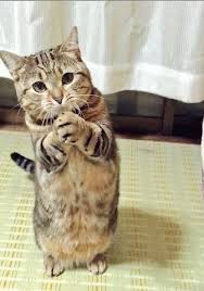 貴女の笑顔をお待ちしてますのアイキャッチ画像