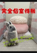 香川高松ちゃんこの寮・宿泊施設画像1