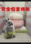 香川高松ちゃんこで働くメリット5