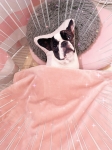 香川高松ちゃんこで働くメリット8