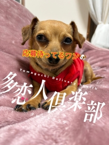 三月は・・・♡のアイキャッチ画像