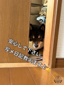 寮費雑費無料のアイキャッチ画像