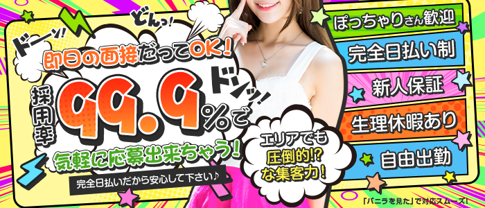 ラブファンタジーのぽっちゃり求人画像