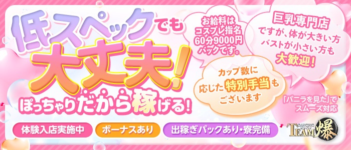 ダンシングおっぱいTEAM爆の求人情報