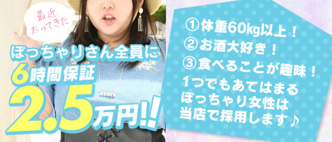 テディーベア京都のぽっちゃり求人画像