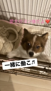 船橋ガマン汁天国手コキ百華店