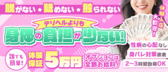 テコキッシュ