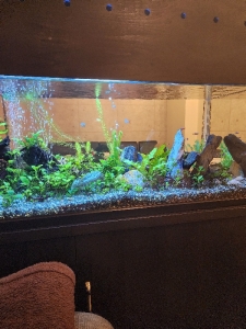 面接の時に女性に必ず聞くことは何ですか？のアイキャッチ画像