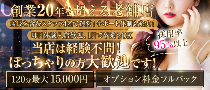奥さん天国のぽっちゃり求人画像