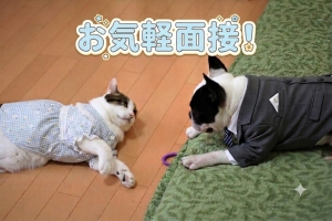 面接や講習はどんな感じ？？　面接前の不安な事は今のうちに解決！！ご安心くださーい！！のアイキャッチ画像