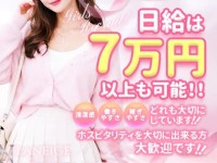 セラドルコレクションで働くメリット3