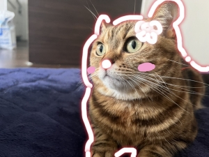 ゴールデンウィークはティアラで★のアイキャッチ画像