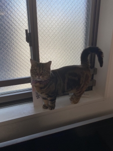 ゴールデンウィーク明けでも&hellip;のアイキャッチ画像