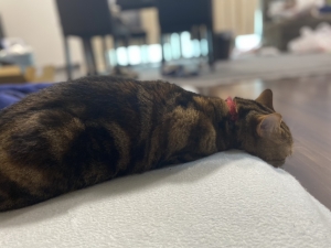 お盆休みハンパないです！！！のアイキャッチ画像