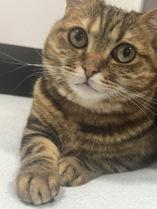 シフト上げて3分で完売可能です♪のアイキャッチ画像