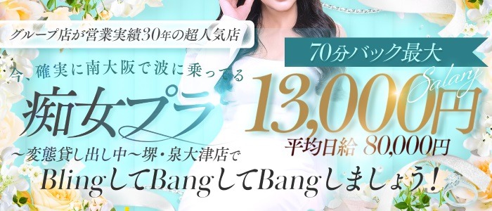 痴女プラの求人画像