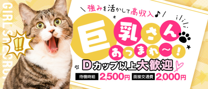 ち〇ぽ洗い屋クリーチのぽっちゃり求人画像