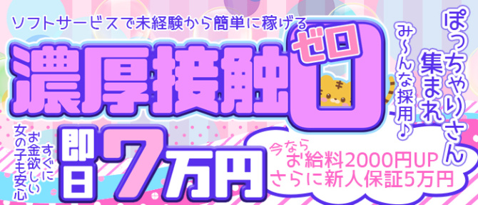 とらのあな 日本橋店のぽっちゃり求人画像
