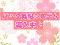 豊橋豊川ちゃんこで働くメリット8