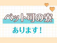 豊橋POISONで働くメリット5