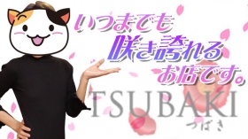TSUBAKI-ツバキ- YESグループに在籍する女の子のお仕事紹介動画