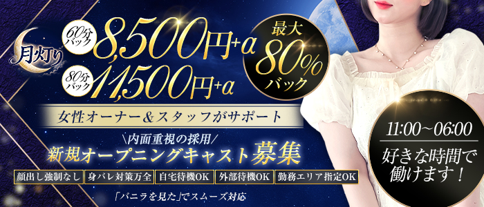 デリバリーヘルス 月灯り帯広のぽっちゃり求人画像