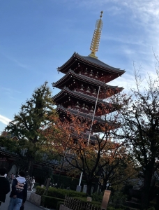 一緒に働いて、この景色を見ませんか？のアイキャッチ画像