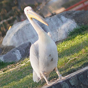 本日撮影をしてきましたのアイキャッチ画像