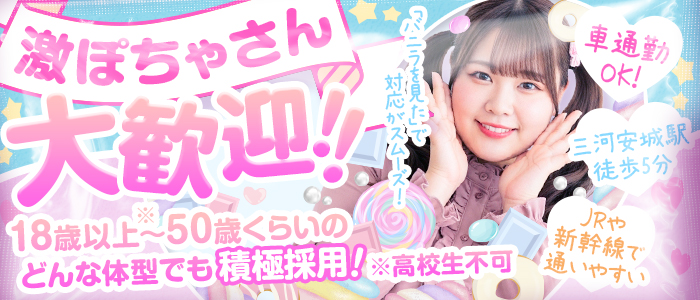 愛知三河安城岡崎ちゃんこの求人画像