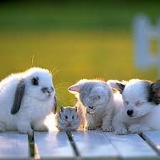 ☆本当に本当なんですか？のアイキャッチ画像