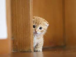 ☆急に託児所から呼び出された時など、どうすればいいでしょう？のアイキャッチ画像