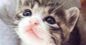 ☆どんなお仕事なんですか？のアイキャッチ画像